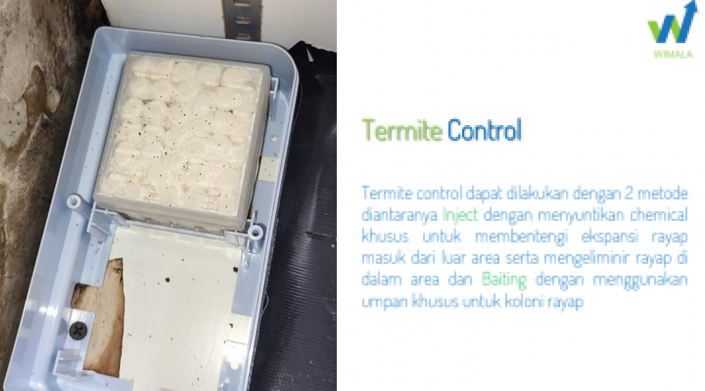 Termite Control