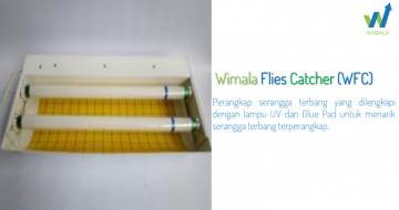 Wimala Flies Catcher